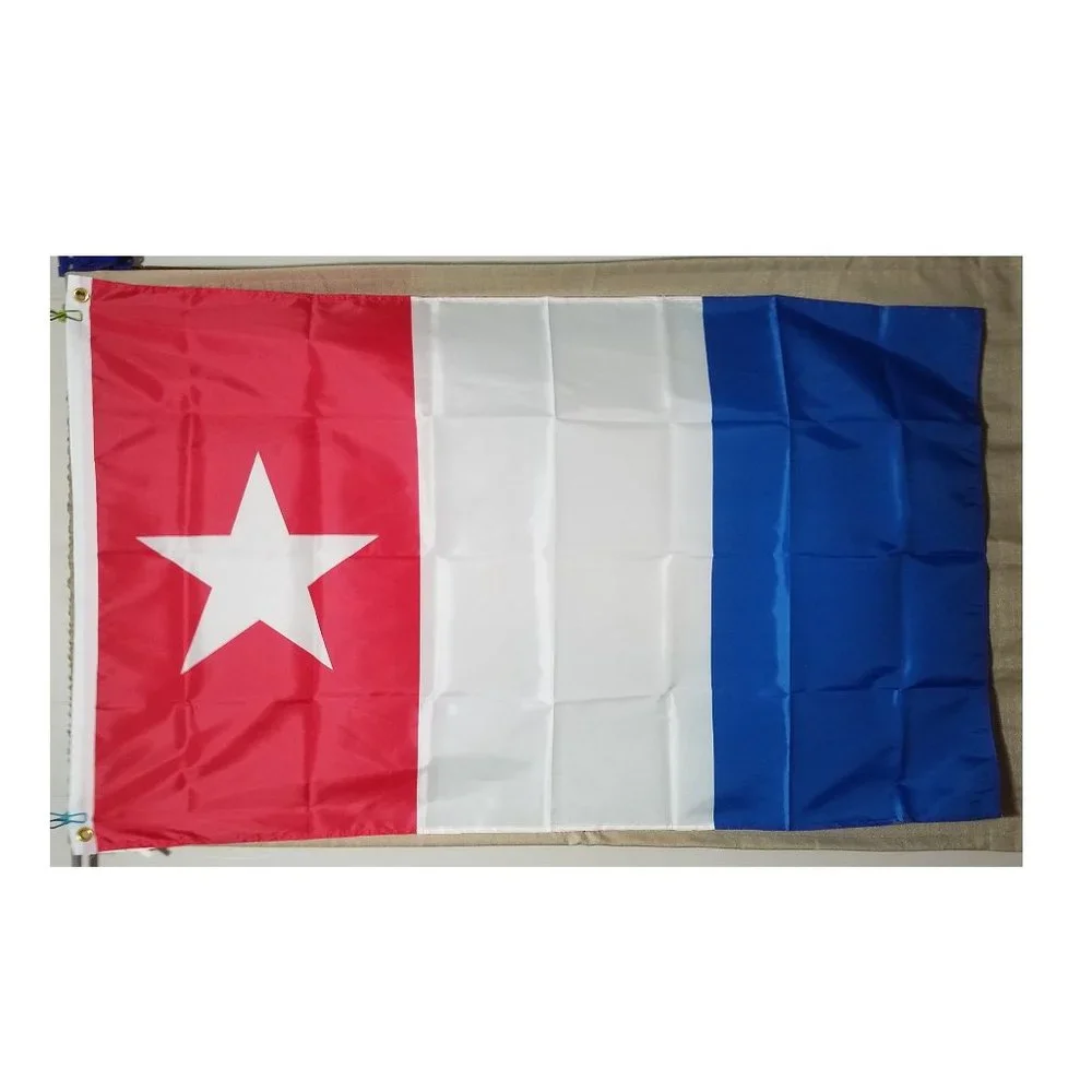 Harrisburg Volunteers Battle of Bexar Texas 3' x 5' Flag banner Mexico Alamo